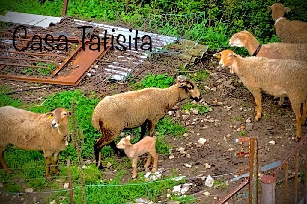 Апартаменти Casa Tatisita Buhardilla Сегура-де-ла-Сьєрра Екстер'єр фото